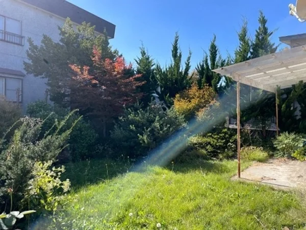 garden