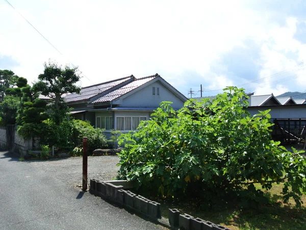 exterior exterior