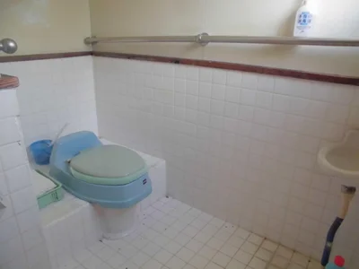 toilet