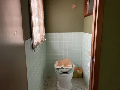 toilet