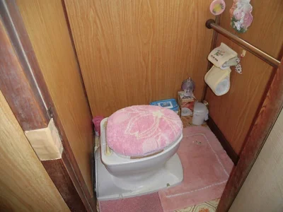 toilet toilet