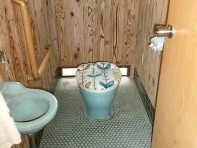 toilet toilet