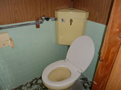 toilet toilet