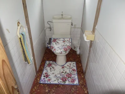 toilet