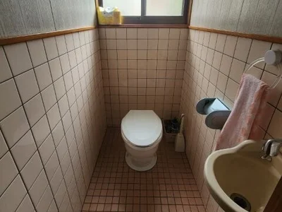toilet toilet