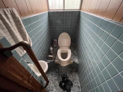 toilet