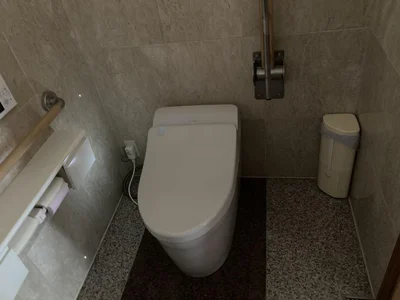 toilet
