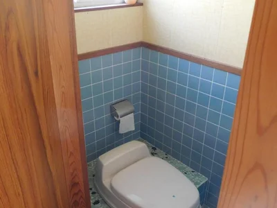 toilet