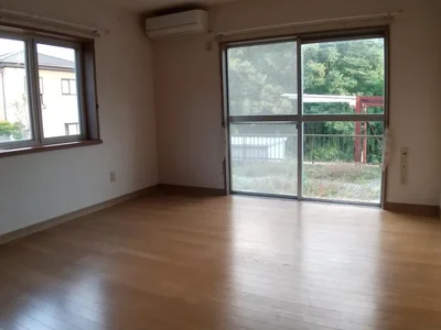 living room living room