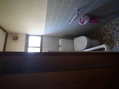 toilet