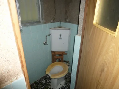 toilet