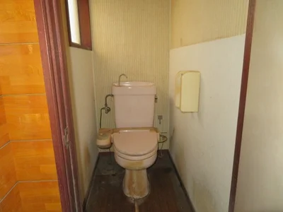 toilet