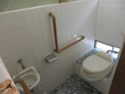toilet