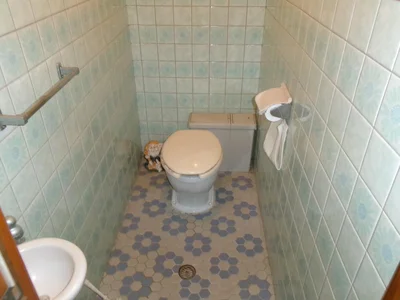 toilet