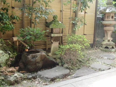 garden