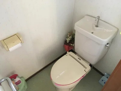 toilet