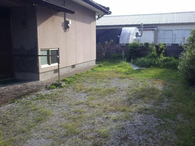 garden