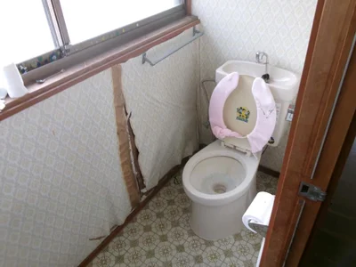 toilet