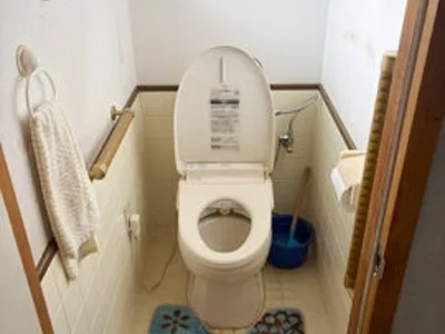 toilet
