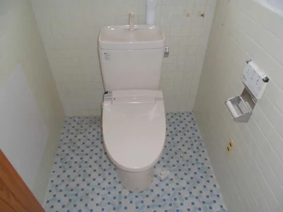 toilet