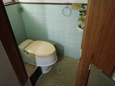 toilet toilet