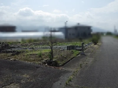 exterior (including front road)