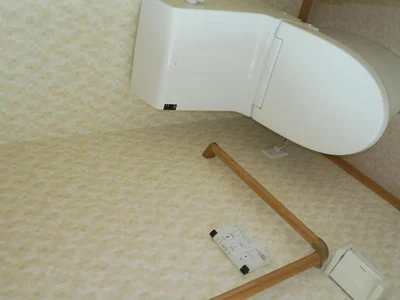 toilet