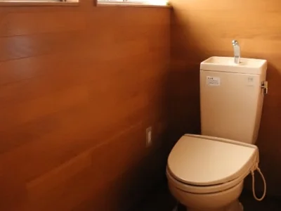 toilet
