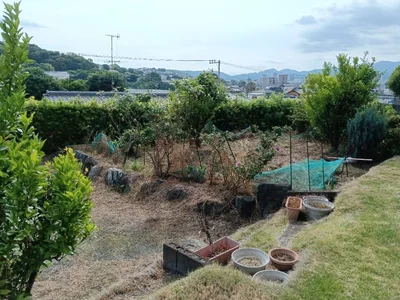 画像 2