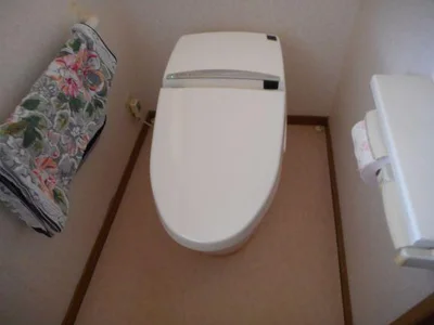 toilet