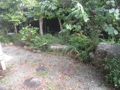 庭