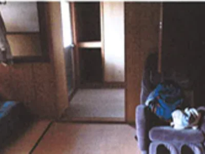 japanese-style room(s)