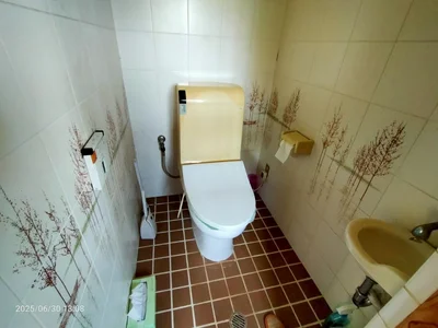 toilet toilet
