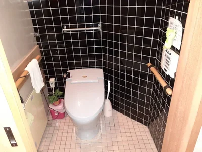 toilet