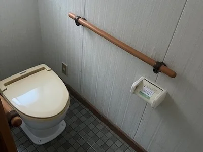 toilet