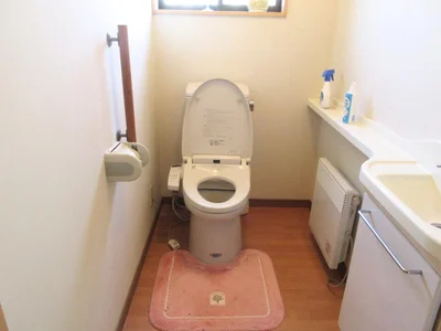 toilet toilet