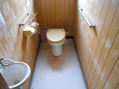 toilet