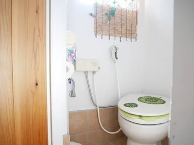 toilet