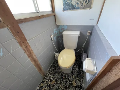 toilet toilet