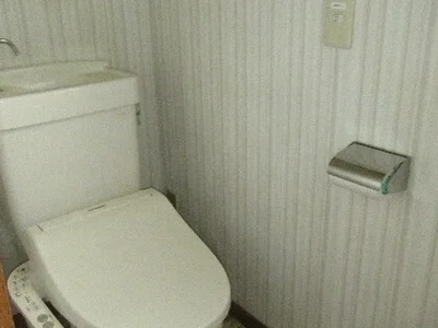 toilet