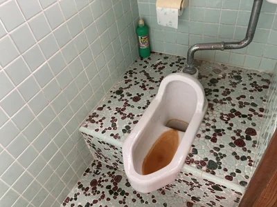 toilet