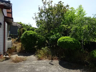 garden