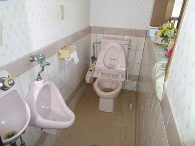 toilet