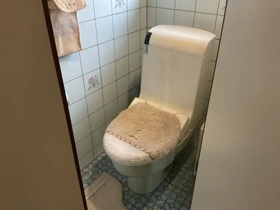 toilet