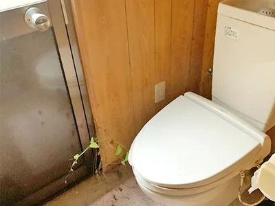 toilet toilet