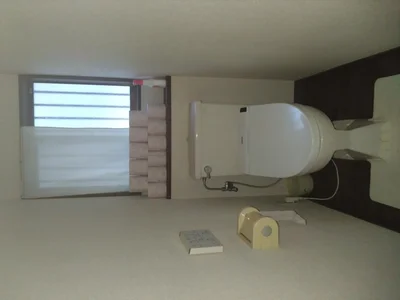 toilet