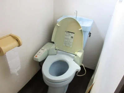 toilet