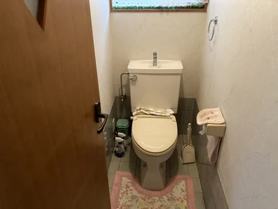 toilet