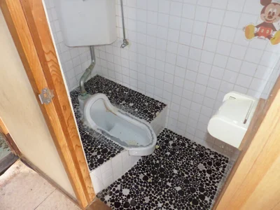 toilet