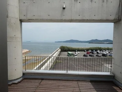 view